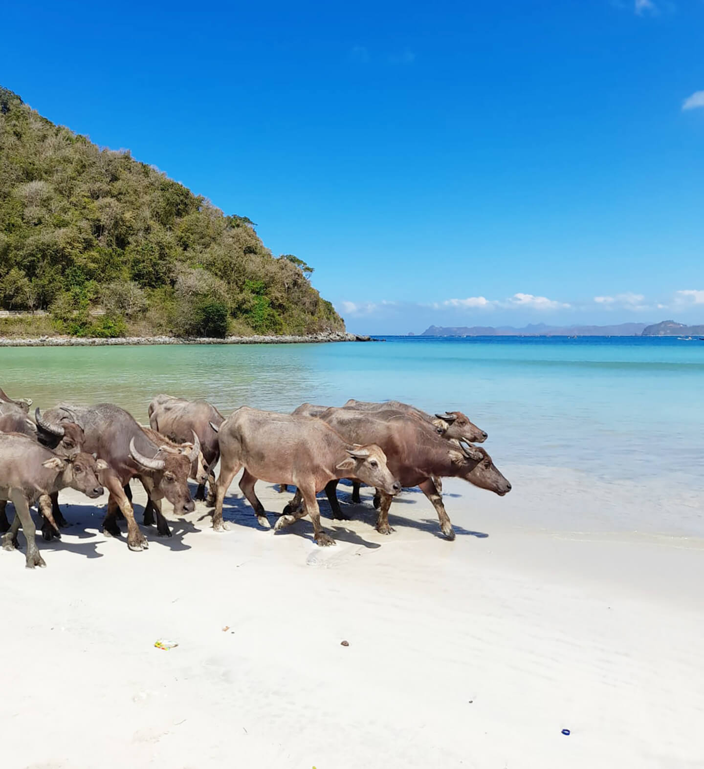 Selong Belanak Beach is the Jewel of South Lombok