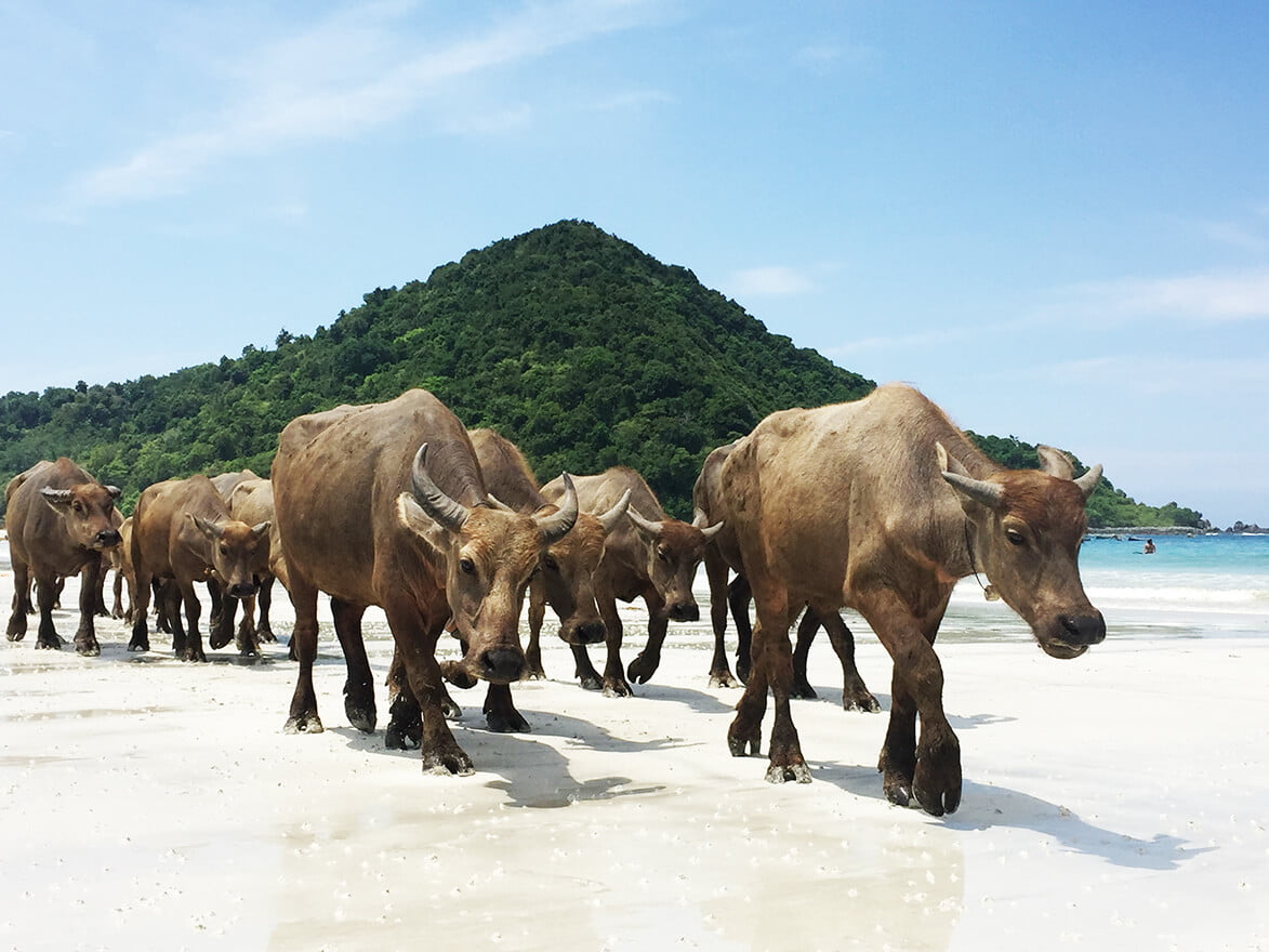 Lombok: The Fastest Property Growth Sector in Indonesia